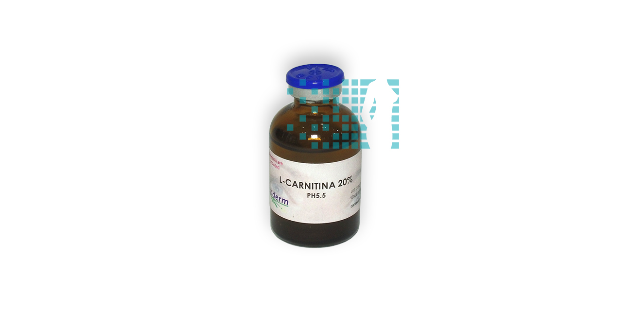 L CARNITINA SOL. 20%